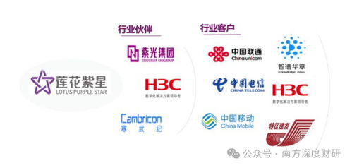 從調味品到AI新勢力 蓮花控股業績領跑同行，科技版圖再落信息技術咨詢服務關鍵一子